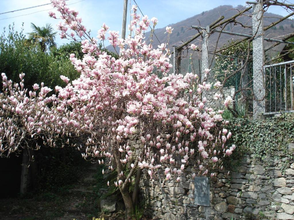 Casale Fe-Wo - Appartamenti Con Vista Lago กันเนโร ริเวียรา ภายนอก รูปภาพ